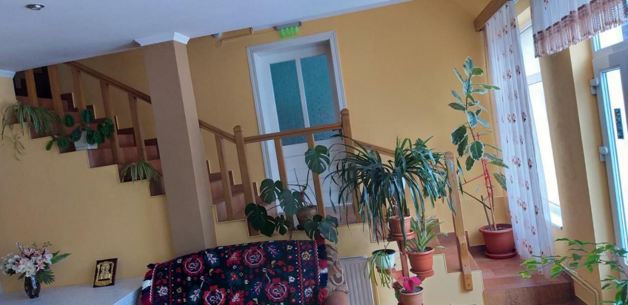 Pensiunea Casa Stet Toader Iulian Săpînţa Eksteriør bilde
